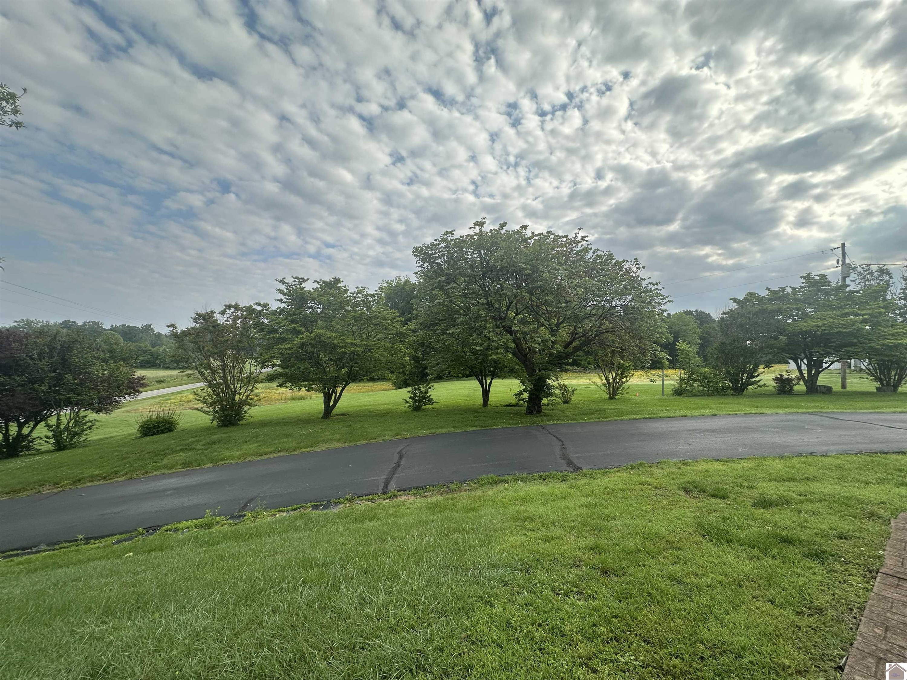 8229 State Rte 129 Fulton, KY 42041 - Photo 22 of 50 Side Yard View