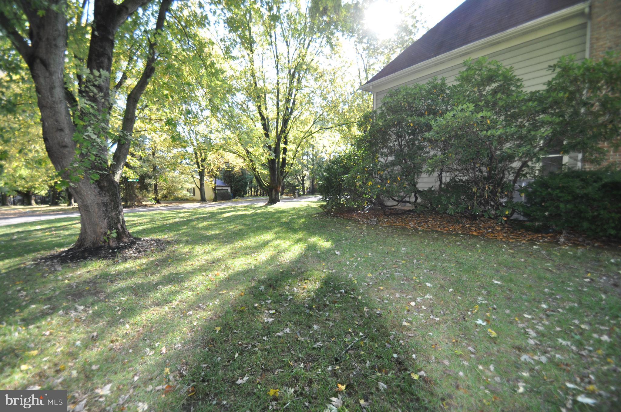 100 Country Flower Road Newark, DE 19711 - Photo 22 of 24 Side Yard