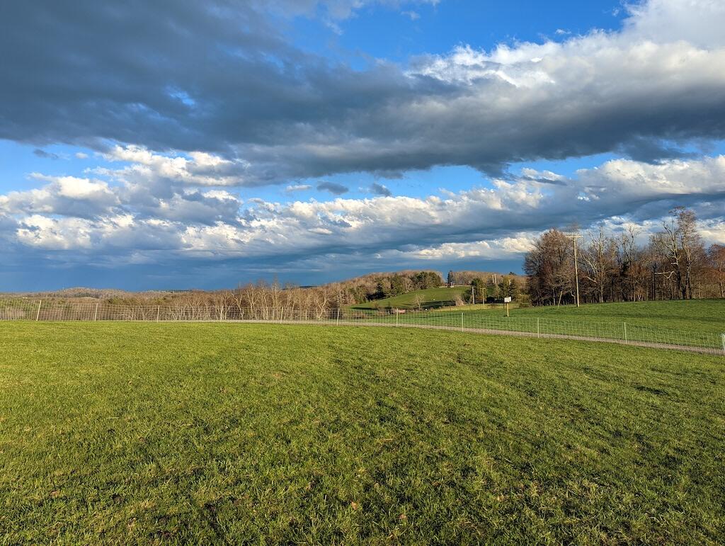 2055 Sunny Ridge Road Northeast Check, VA 24072 - Photo 29 of 35 a view of a big yard with lots of green space