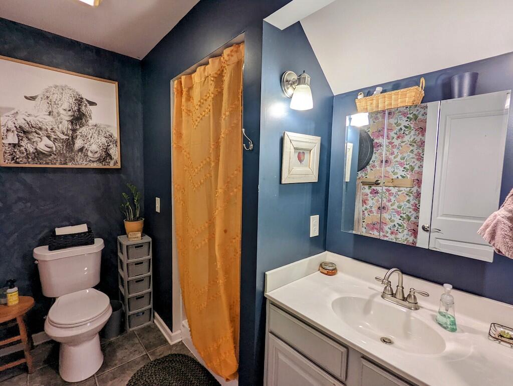 2055 Sunny Ridge Road Northeast Check, VA 24072 - Photo 8 of 35 a bathroom with a sink toilet and shower