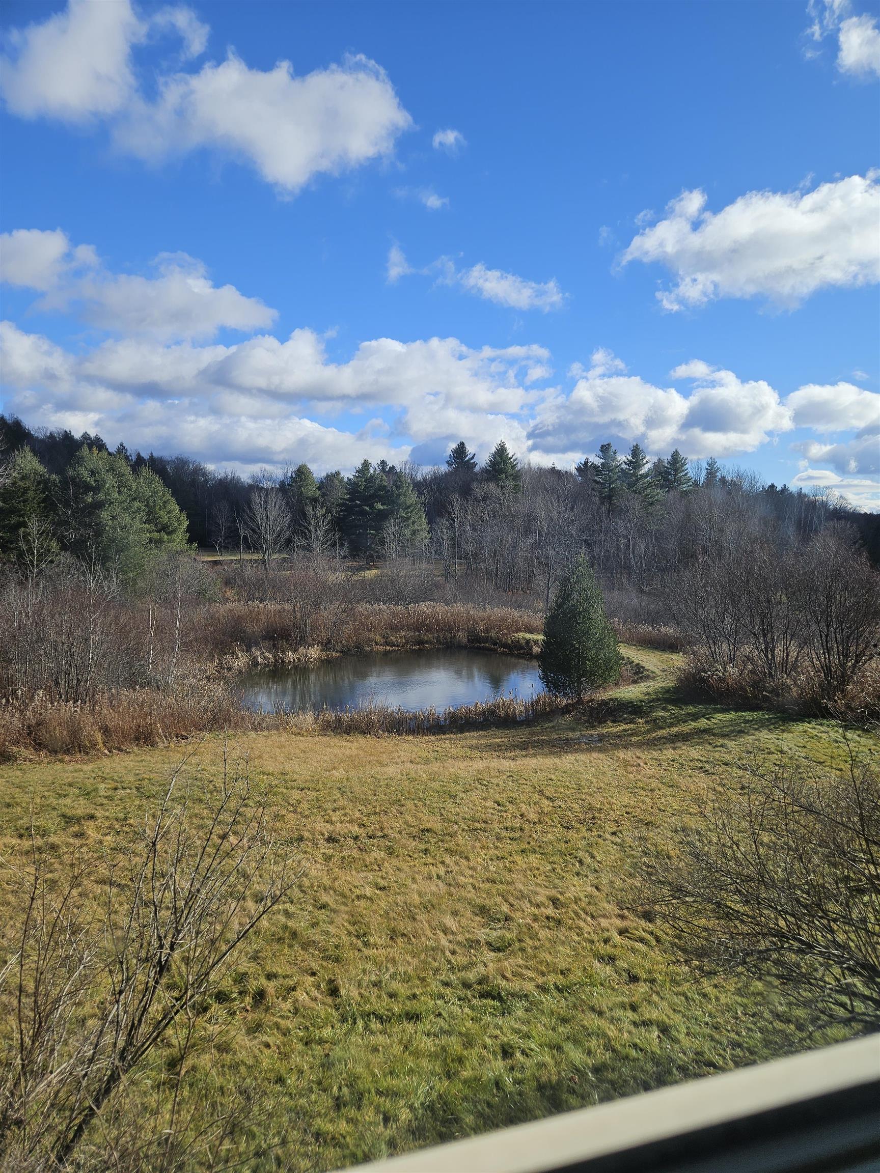 117 Ray Hill Road Wilmington, VT 05363 - Photo 8 of 15