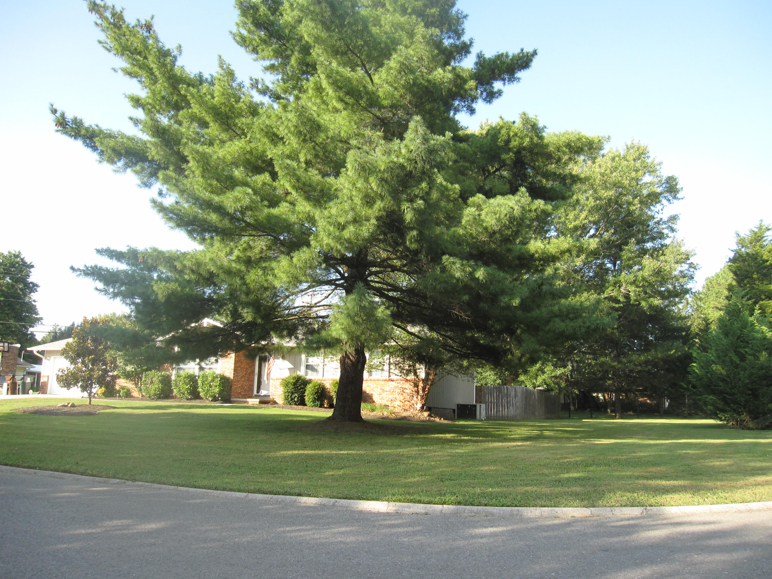 7700 Keswick Road, Unit 15 Powell, TN 37849 - Photo 20 of 20 Corner Lot