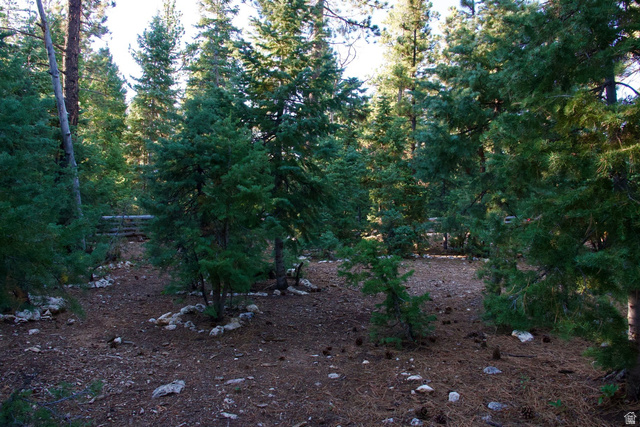 140 East Rim Road Duck Creek Village, UT 84762 - Photo 23 of 45 View of undeveloped land