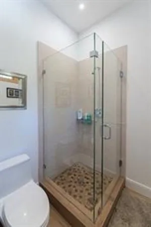 a bathroom with a shower and toilet