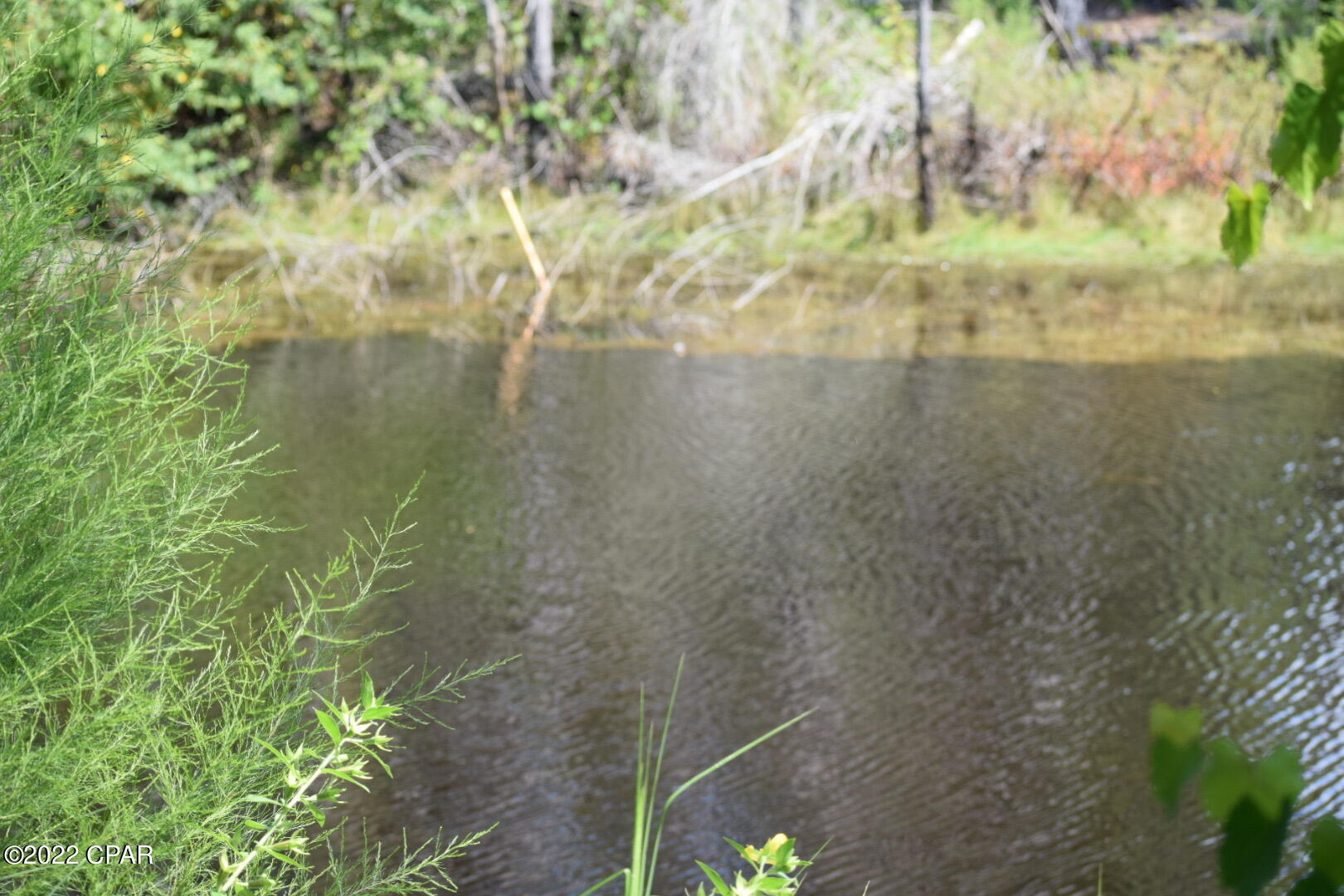 Lot 27 Rendezvous Drive Santa Rosa Beach, FL 32459 - Photo 5 of 8