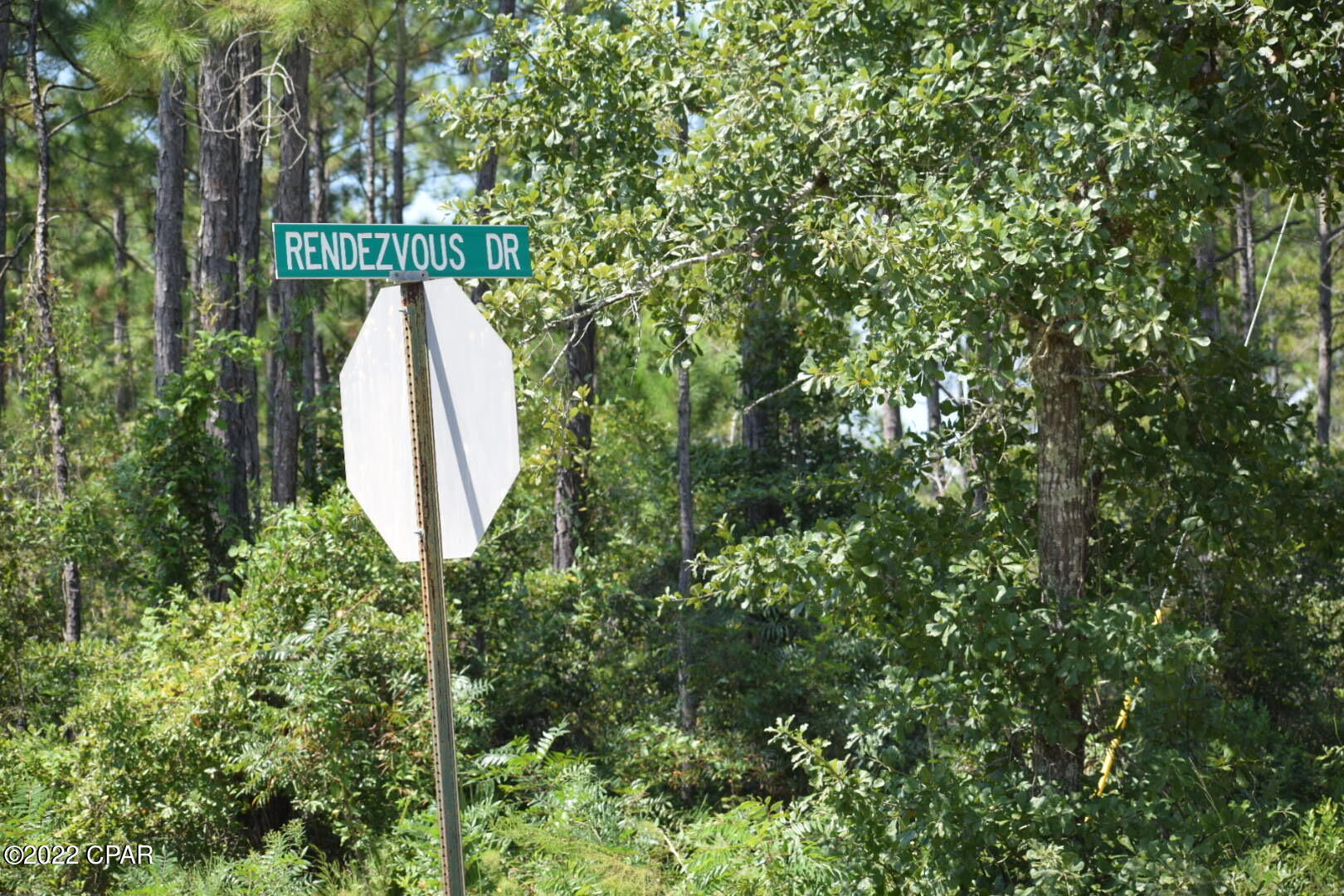 Lot 27 Rendezvous Drive Santa Rosa Beach, FL 32459 - Photo 6 of 8