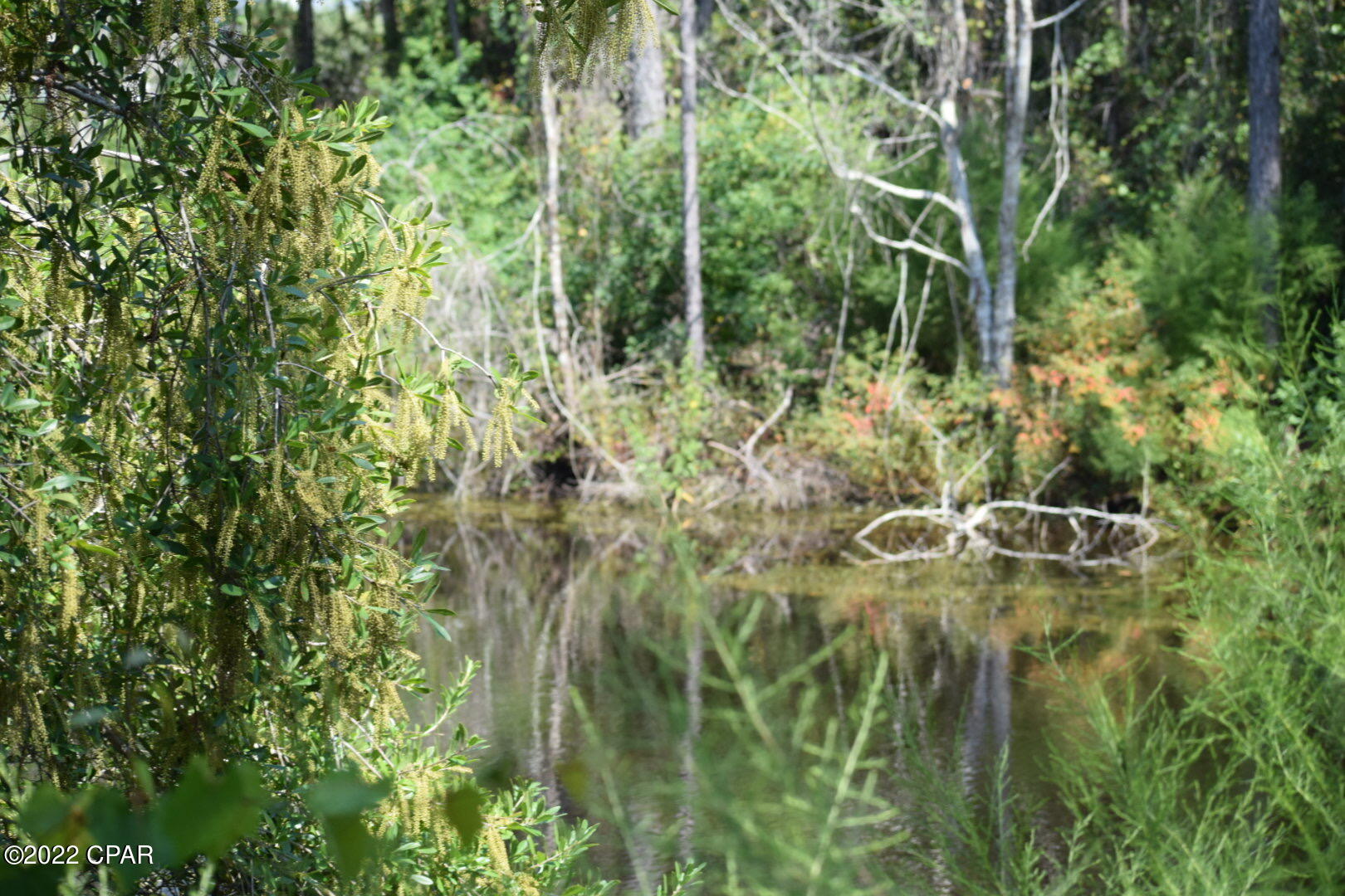 Lot 27 Rendezvous Drive Santa Rosa Beach, FL 32459 - Photo 8 of 8