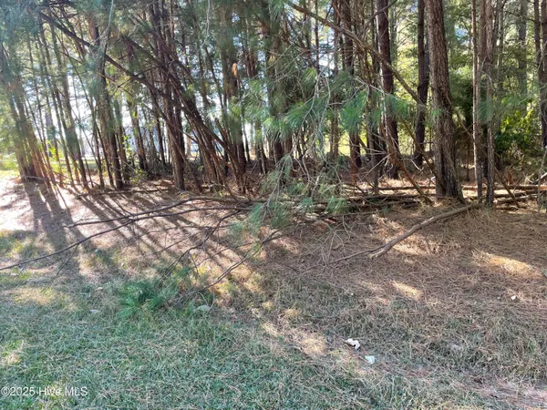 $130,000 | Lot 10 Bethel Creek Lane, Hertford, NC 27944
