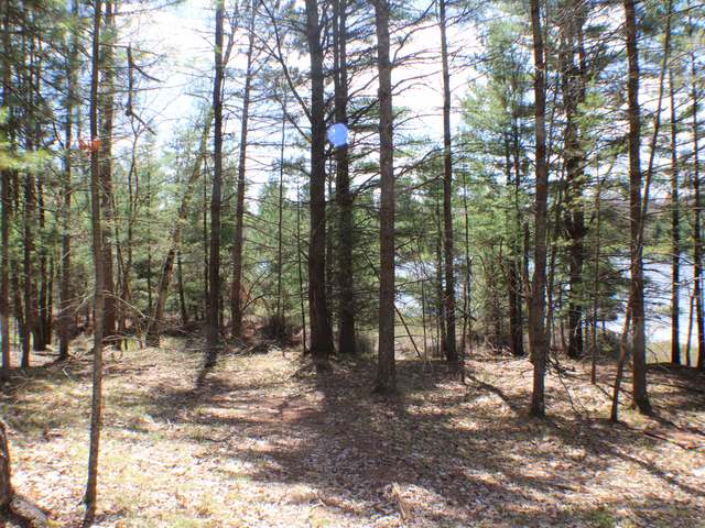 On Star Lake Road Manitowish Waters, WI 54545 - Photo 3 of 11 Gallery Image 3