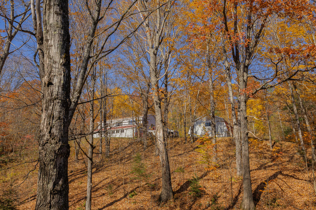 120 Butterfield Road Wilton, ME 04294 - Photo 55 of 74 sandy-river-realty-52