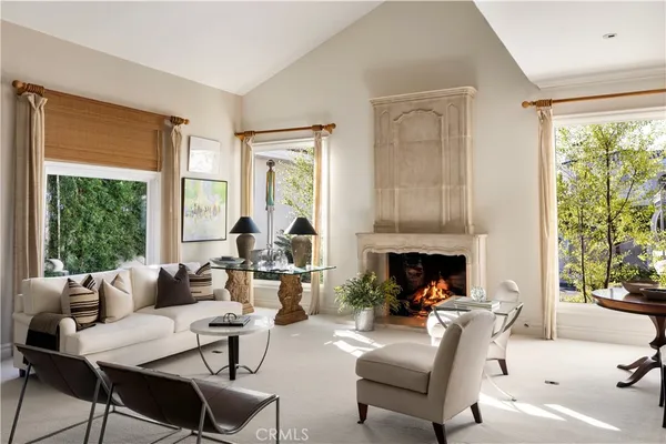 a living room with furniture a fireplace and a potted plant