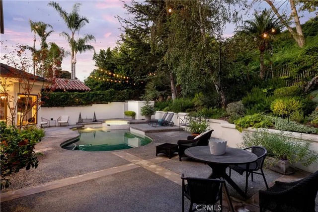 a front view of a palm tree