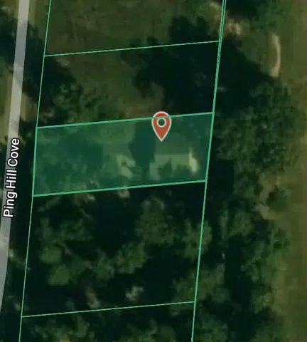 $250,000 | 170 Ping Hl Cove, Counce, TN 38326