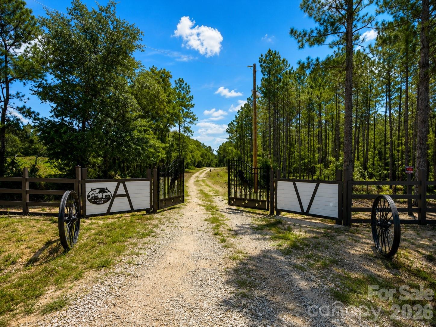 3203 Landfill Road Mount Croghan, SC 29727 - Photo 5 of 48 Gallery Image 5