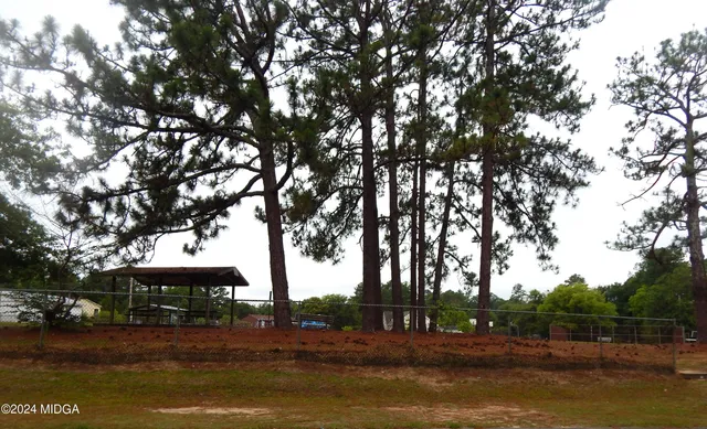 a view of a yard with plants and trees
