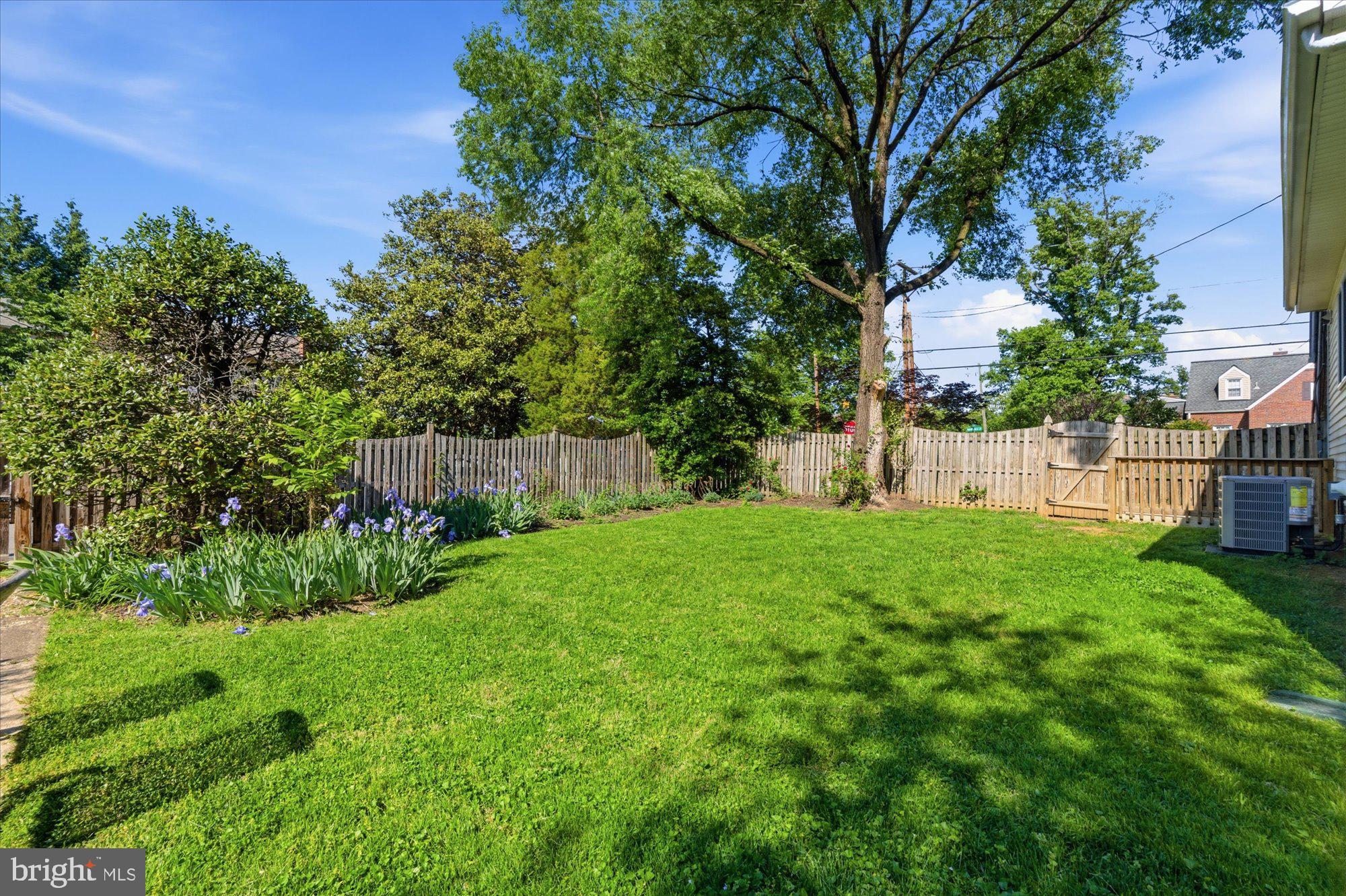 2434 Cameron Mills Road Alexandria, VA 22302 - Photo 42 of 51
