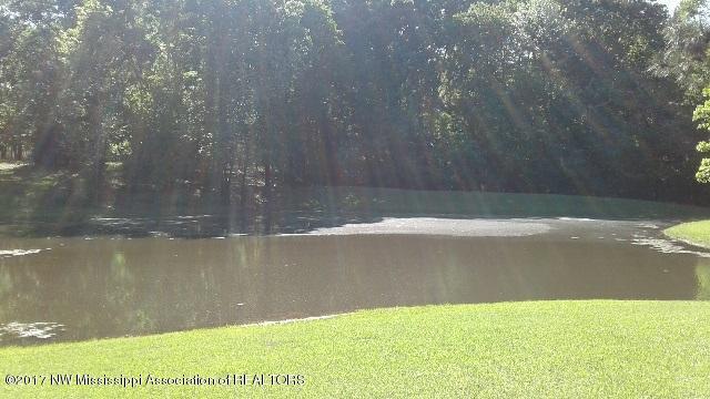 423 Wildwood Road Holly Springs, MS 38635 - Photo 11 of 48 npod