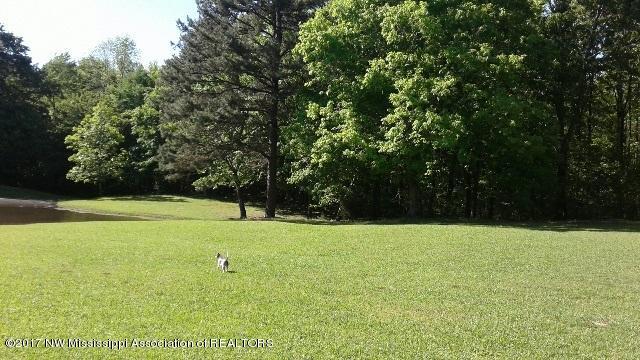 423 Wildwood Road Holly Springs, MS 38635 - Photo 17 of 48 nwood