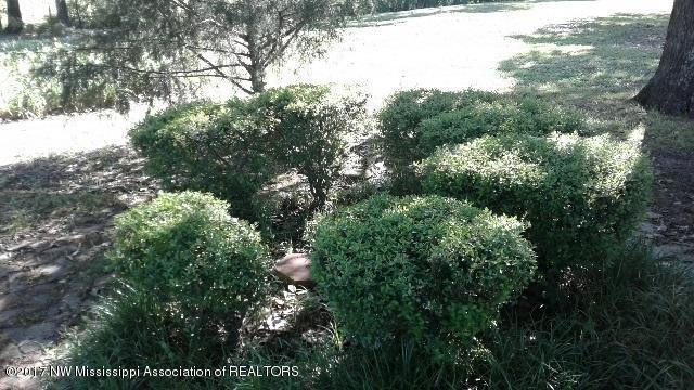 423 Wildwood Road Holly Springs, MS 38635 - Photo 8 of 48 nlandscape