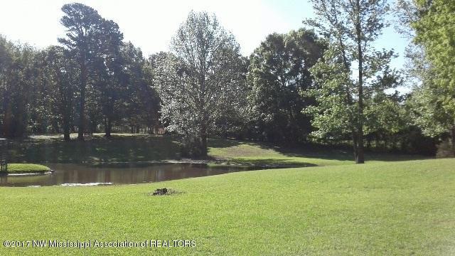 423 Wildwood Road Holly Springs, MS 38635 - Photo 10 of 48 npond