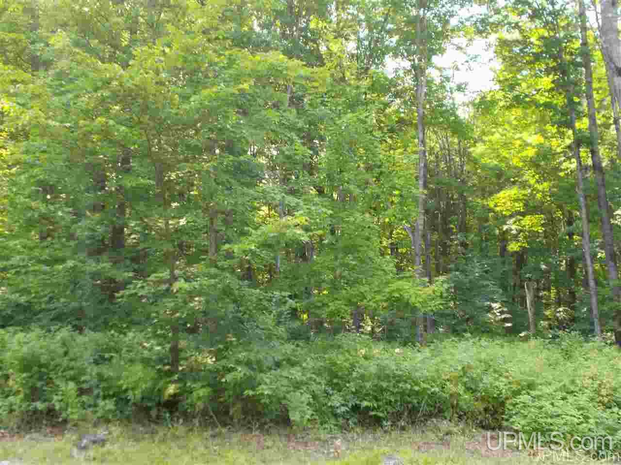 5507 Rocky Road Long Lake, WI 54542 - Photo 24 of 24