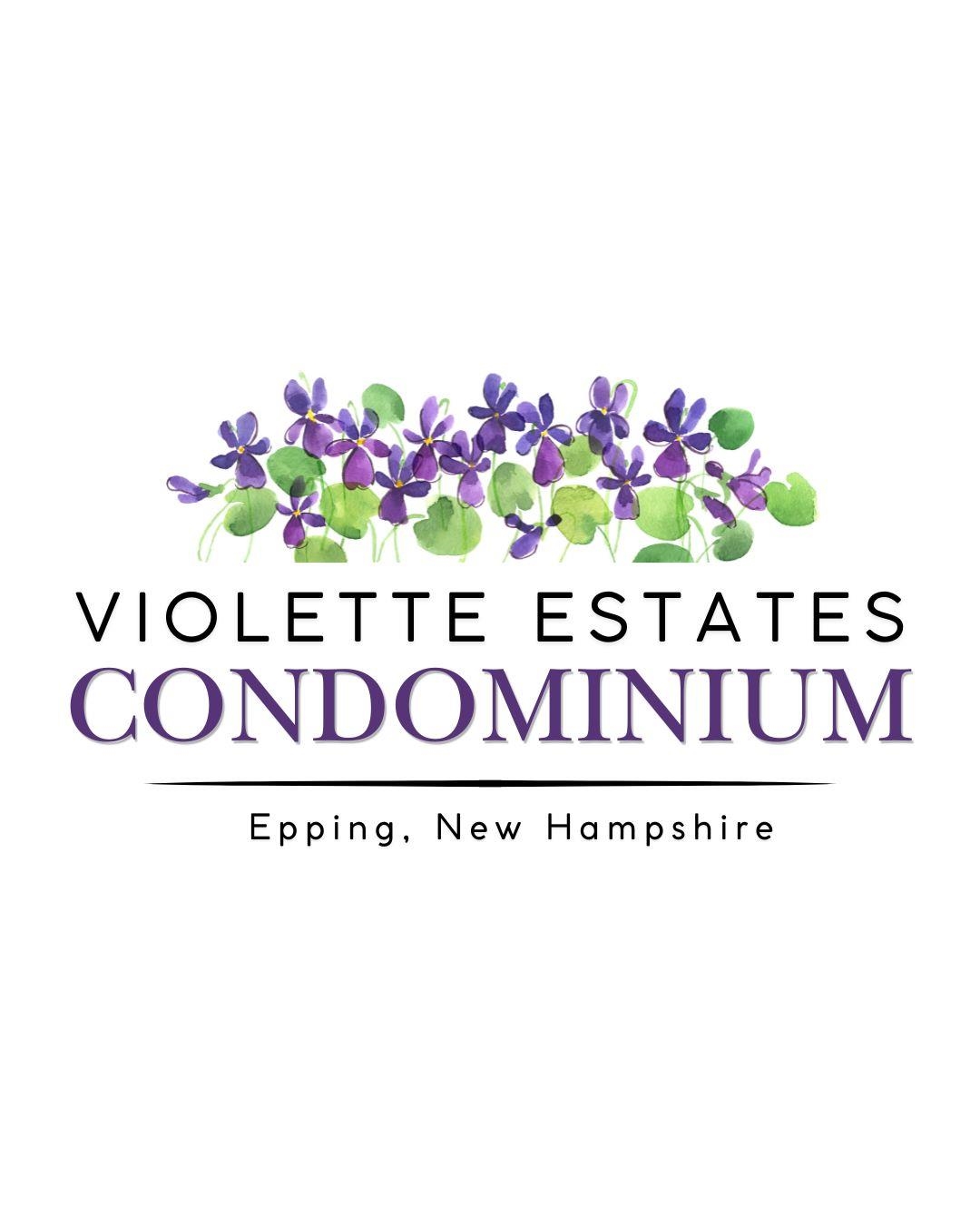 7 B Violette Drive Epping, NH 03042 - Photo 47 of 60