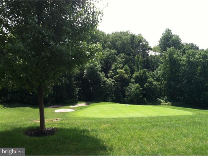 407 Brandon Road Eagleville, PA 19403 - Photo 1 of 14 Back Yard