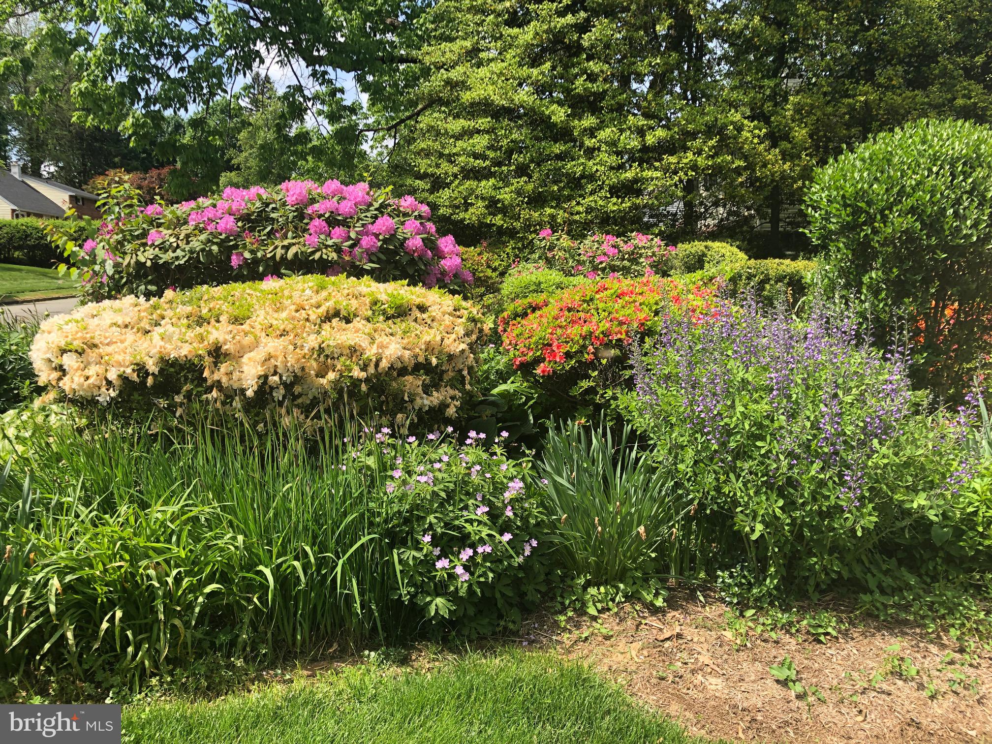 26 Devonwood Road Wayne, PA 19087 - Photo 22 of 22 Lush Landscape and Flowering Plantings