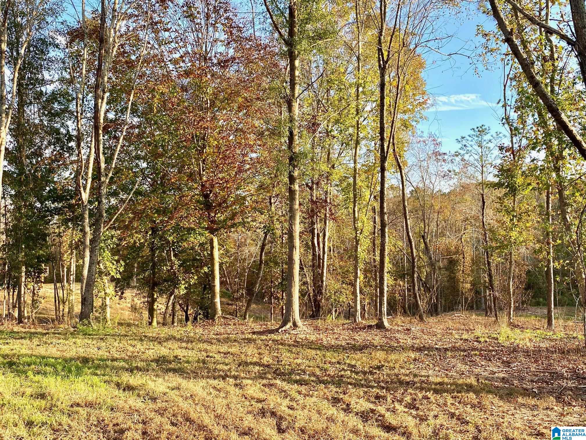 325 County Road 13 Heflin, AL 36264 - Photo 10 of 56