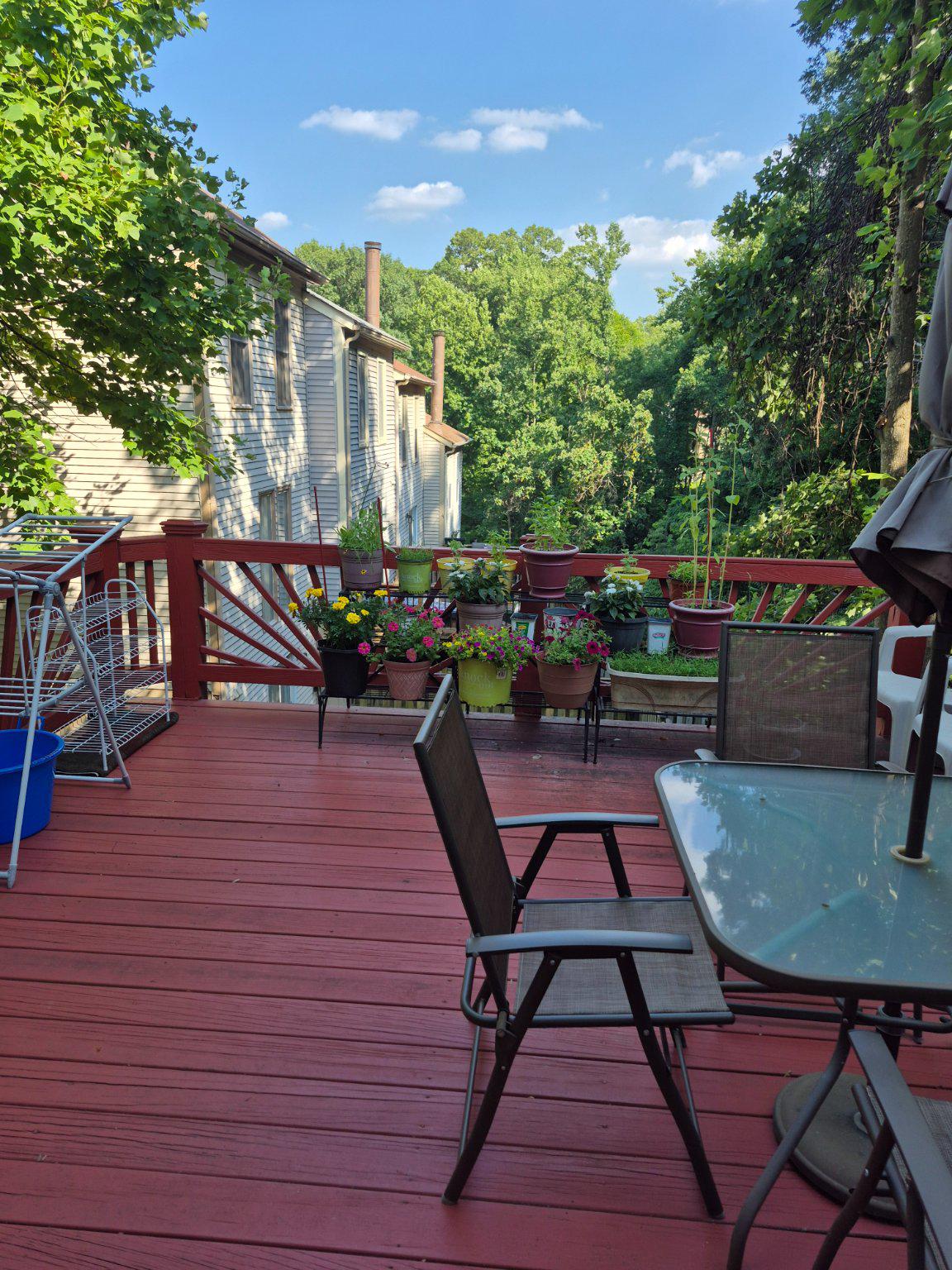 13806 Carter House Way, Unit 16145 Silver Spring, MD 20904 - Photo 4 of 45 BIG Deck with tree view. Enjoy tree-fresh air.