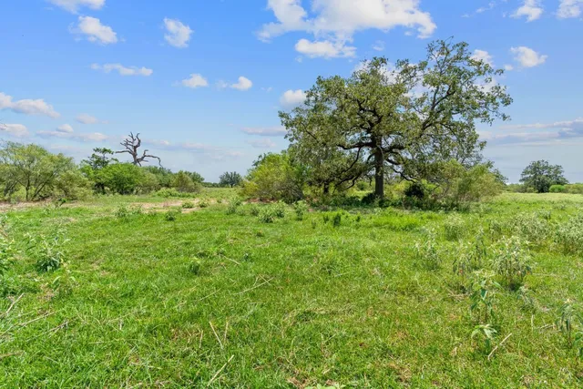 $83,900 | Lot 18 County Road 402, Flatonia, TX 78941