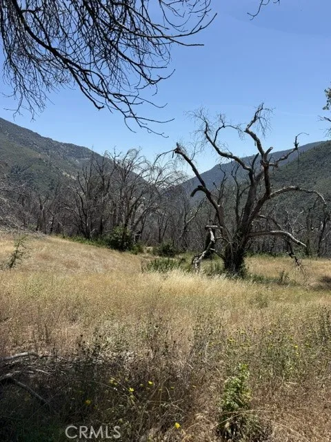 24 North 35 Road Paskenta, CA 96074 - Photo 34 of 41 view from cabin area