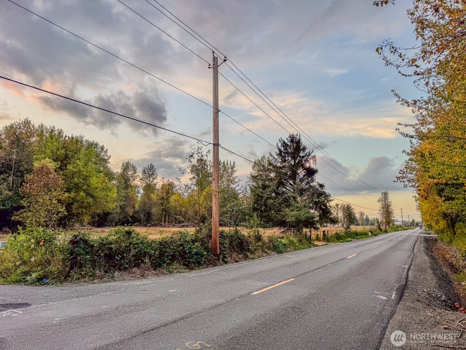0 Mundy Loss Road East Buckley, WA 98321 - Photo 11 of 29 a view of a street