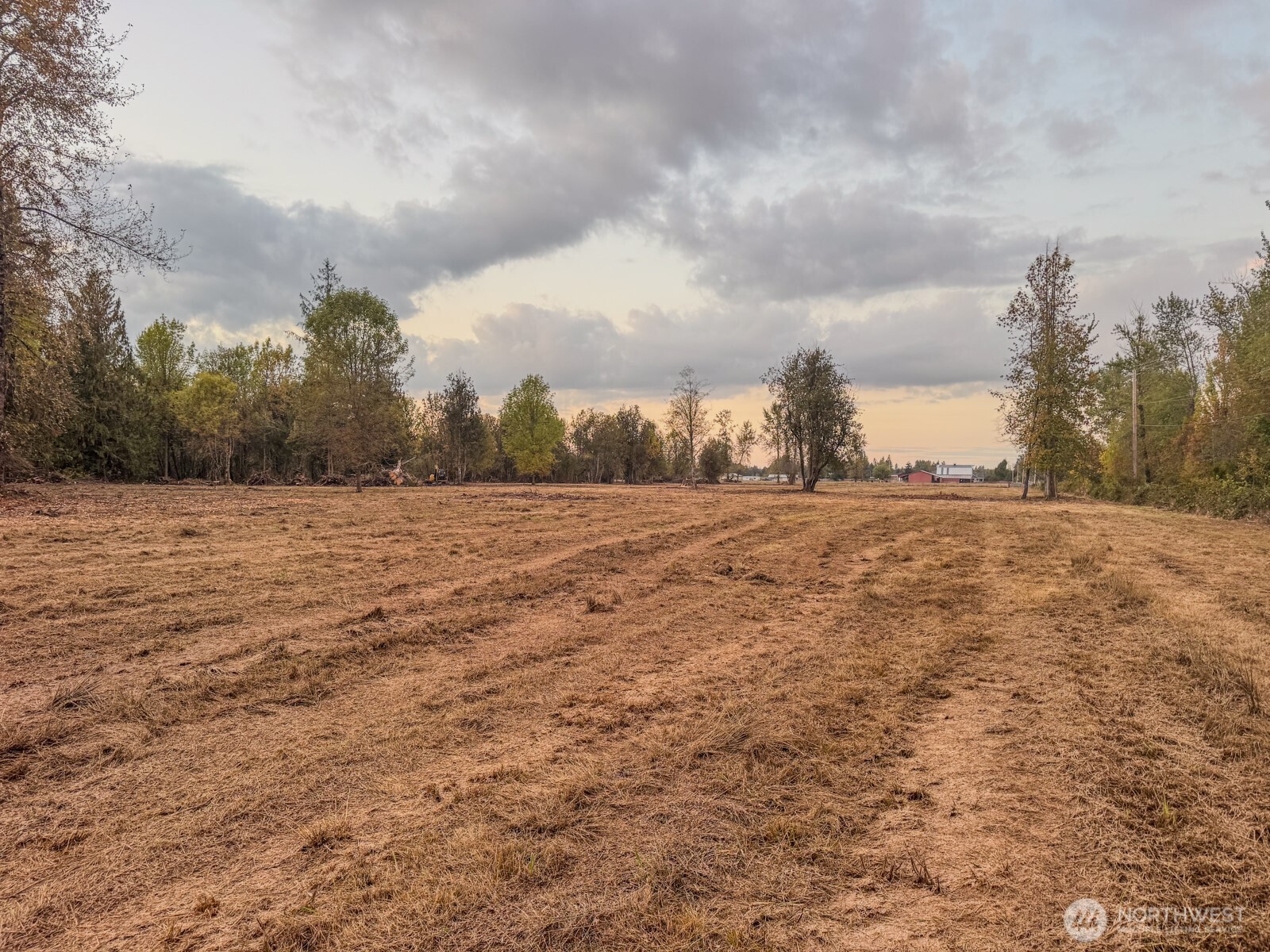 0 Mundy Loss Road East Buckley, WA 98321 - Photo 14 of 29 a view of a field with trees in the background