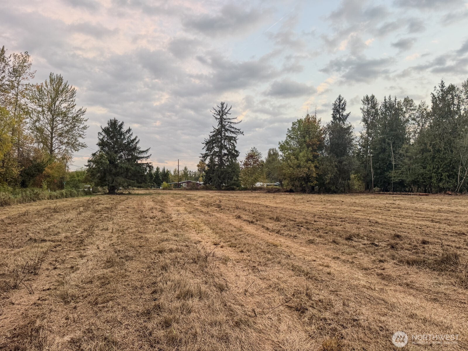 0 Mundy Loss Road East Buckley, WA 98321 - Photo 15 of 29 a view of outdoor space with green space