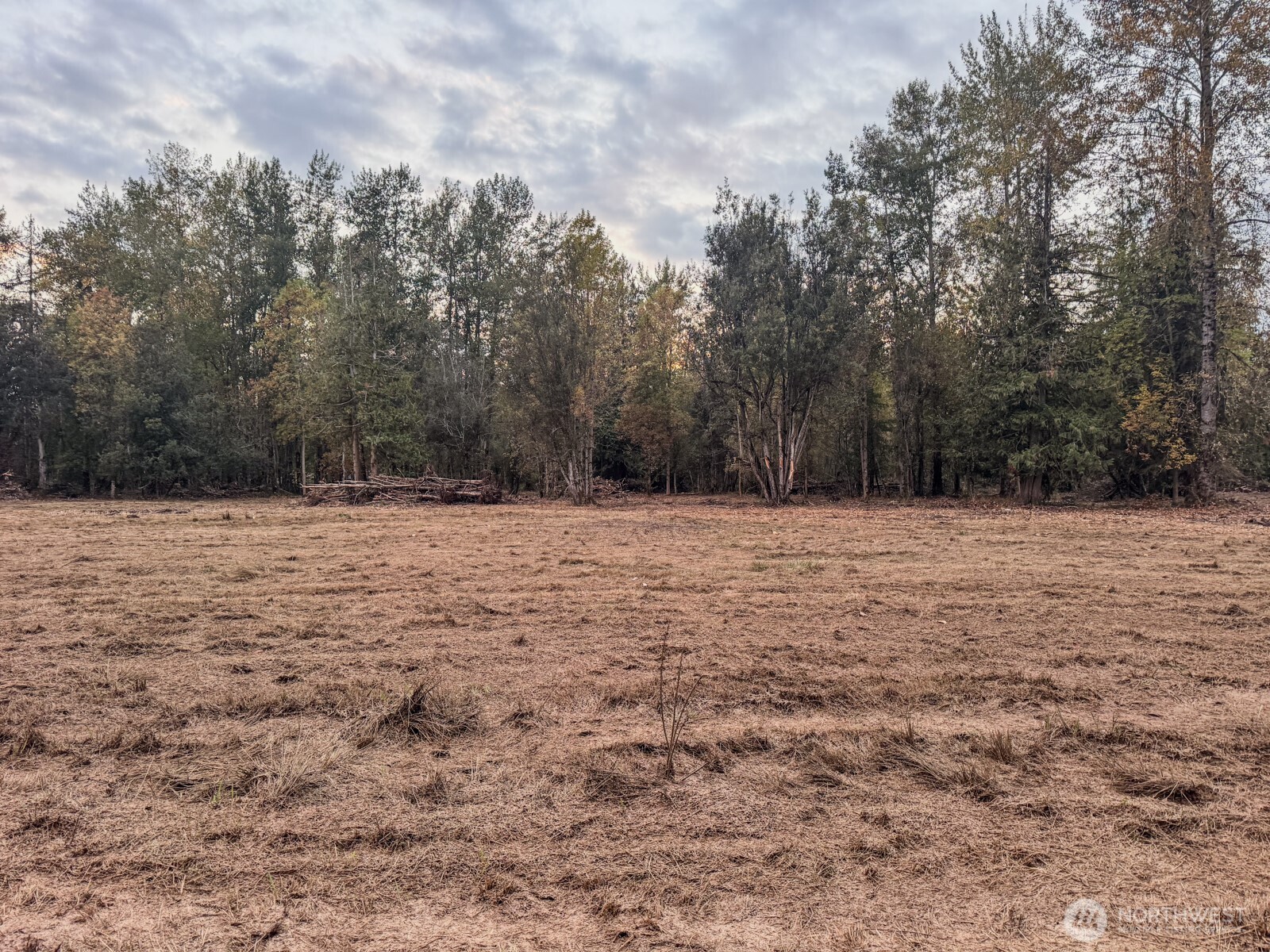 0 Mundy Loss Road East Buckley, WA 98321 - Photo 16 of 29 a view of side of a building