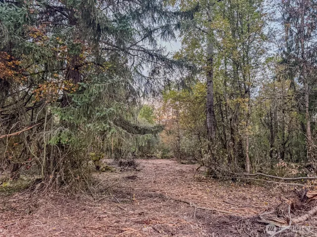 a view of outdoor space and green space