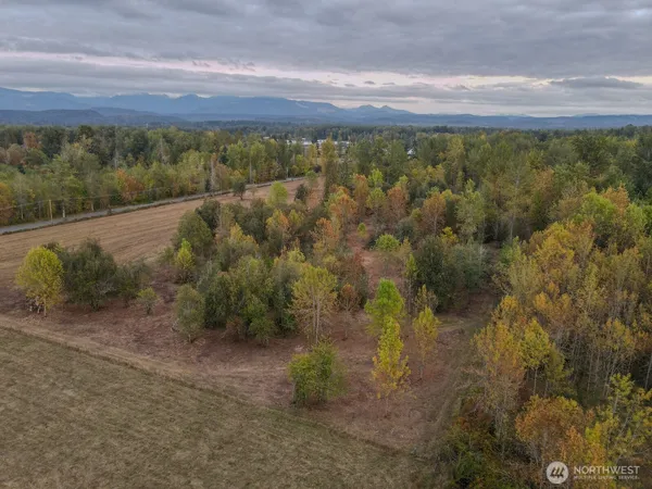 a view of a field with trees in the background