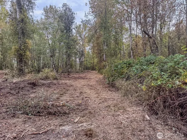a view of a city from a yard