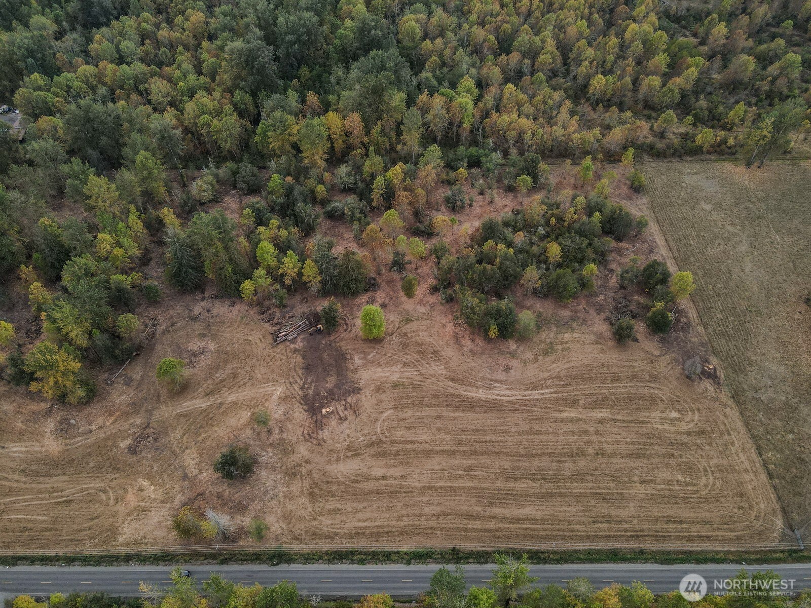 0 Mundy Loss Road East Buckley, WA 98321 - Photo 25 of 29 a view of a yard