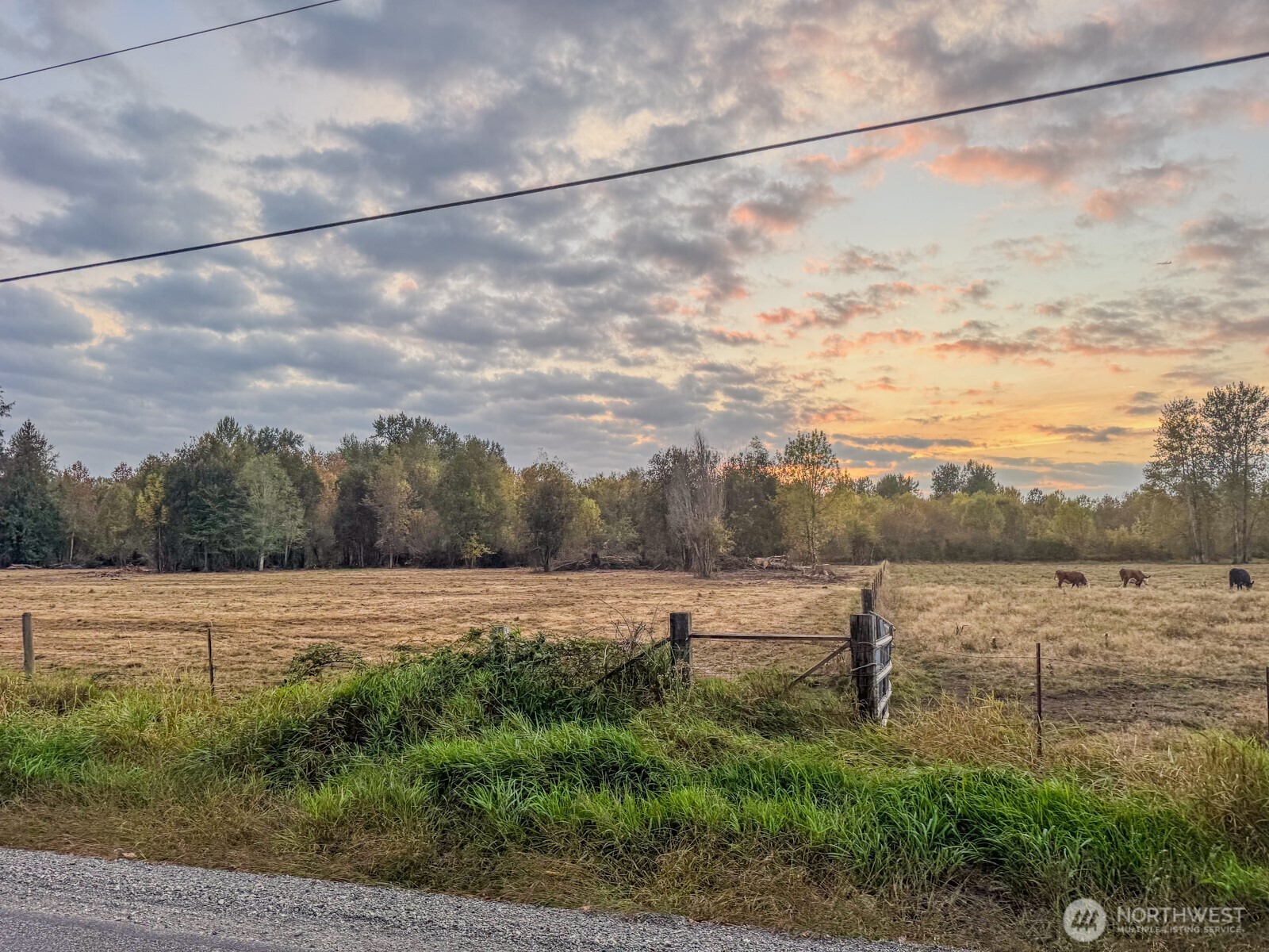0 Mundy Loss Road East Buckley, WA 98321 - Photo 3 of 29 a view of a field with trees in the background