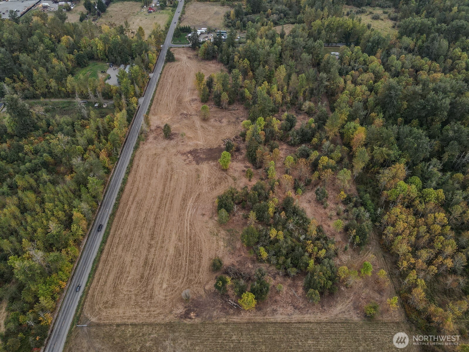 0 Mundy Loss Road East Buckley, WA 98321 - Photo 4 of 29 a view of a yard with plants