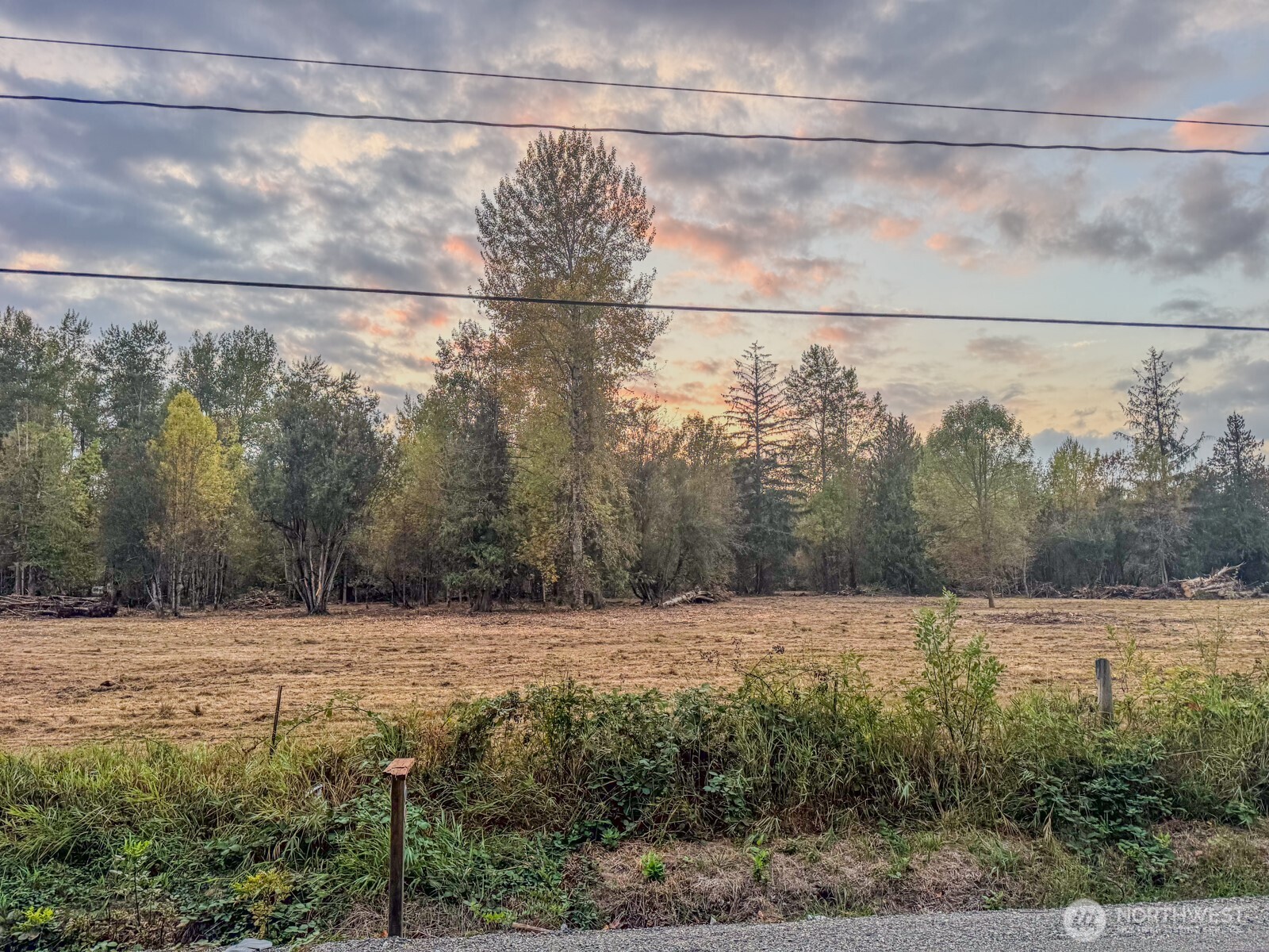 0 Mundy Loss Road East Buckley, WA 98321 - Photo 9 of 29 a view of a yard