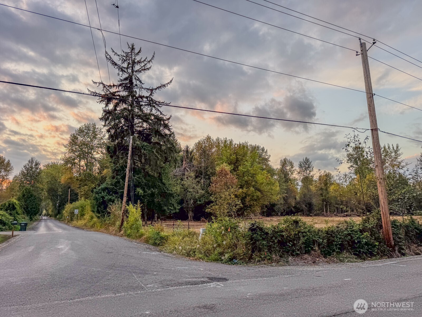 0 Mundy Loss Road East Buckley, WA 98321 - Photo 10 of 29 a view of a yard in front of a house