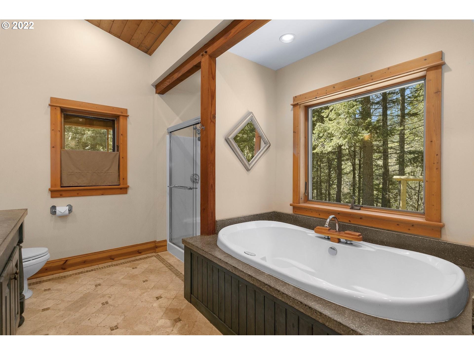 181 Lyons Road White Salmon, WA 98672 - Photo 14 of 32 a bathroom with a sink and a bathtub