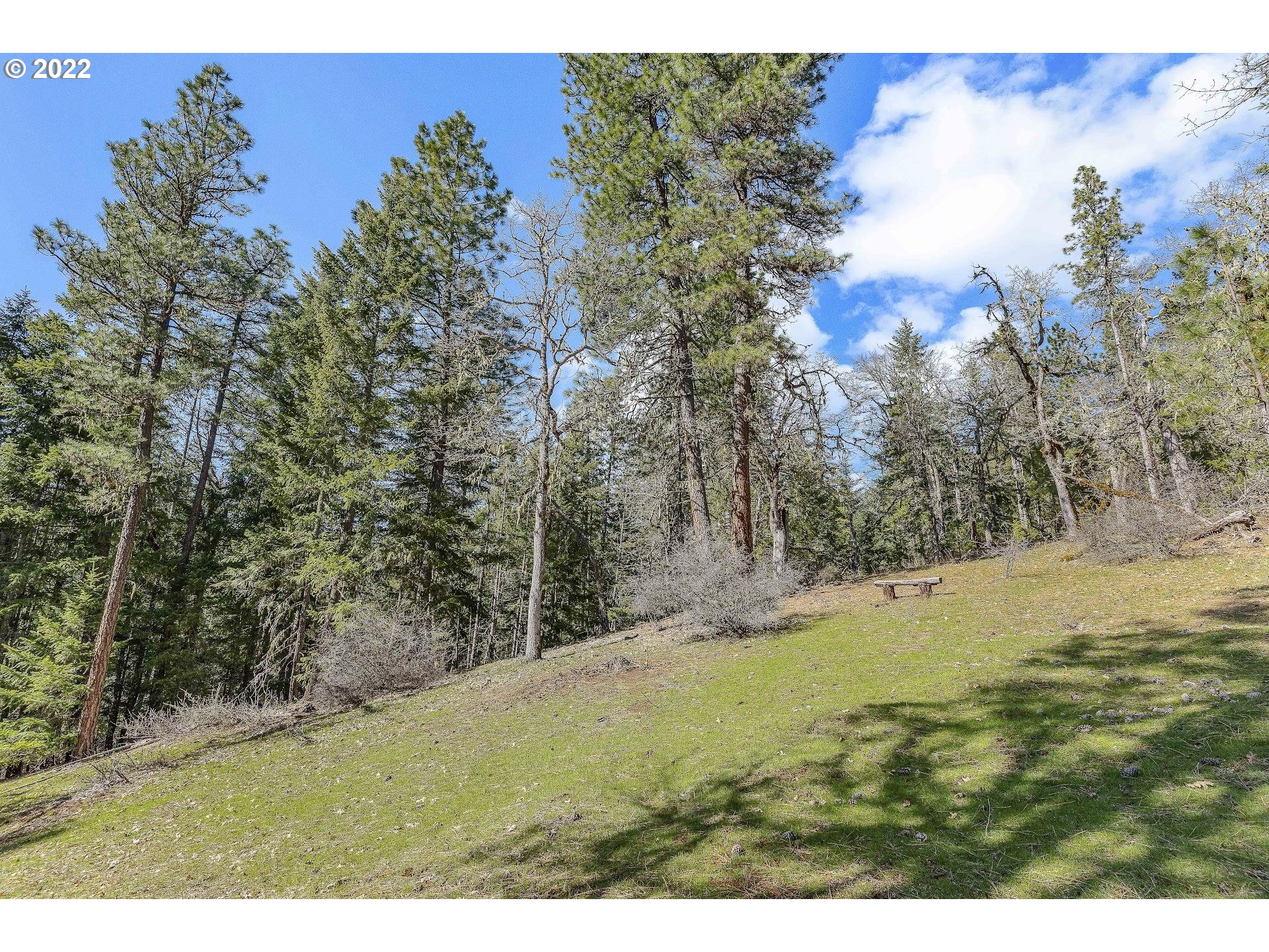 181 Lyons Road White Salmon, WA 98672 - Photo 28 of 32 a view of outdoor space and yard