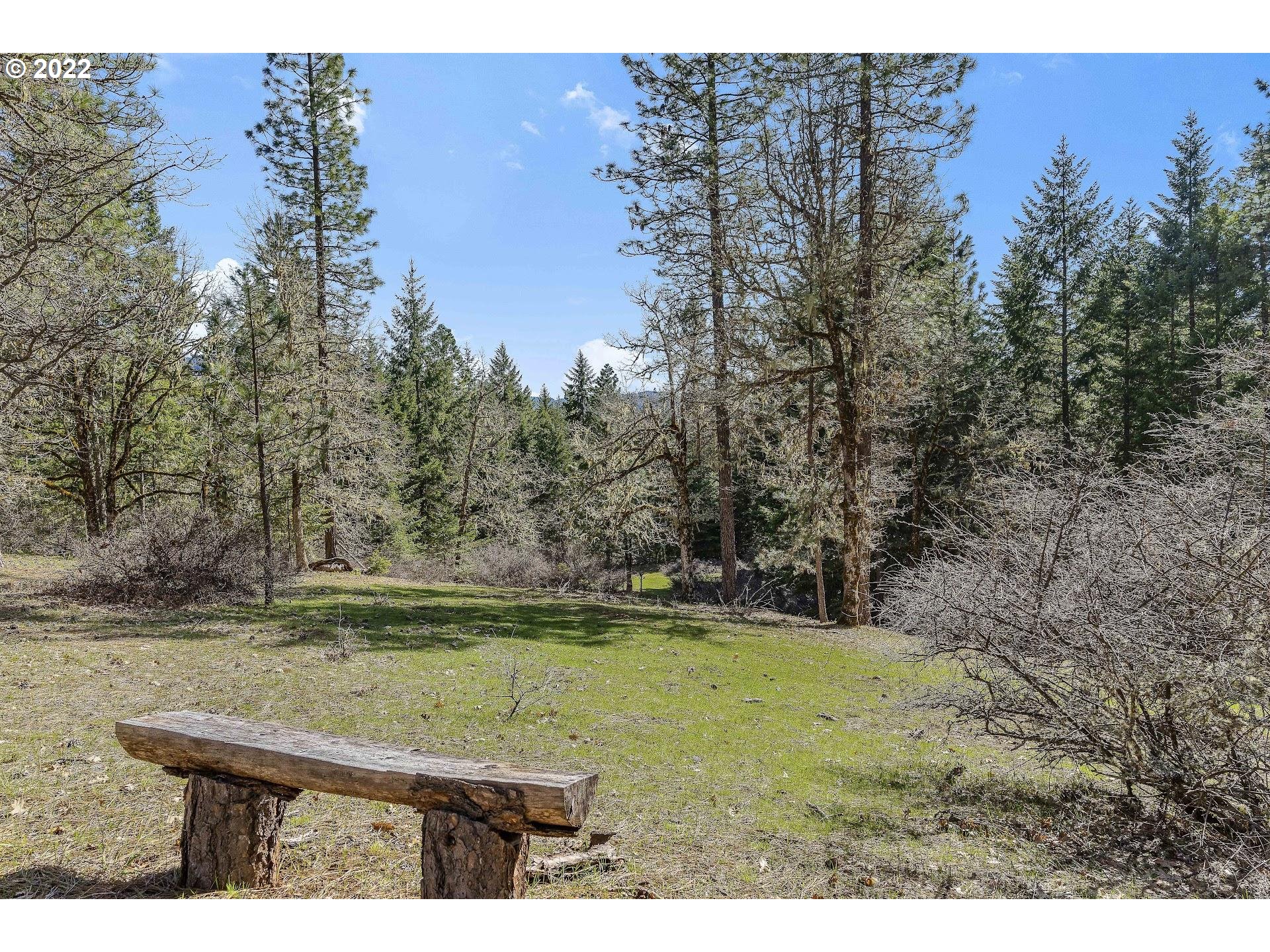 181 Lyons Road White Salmon, WA 98672 - Photo 29 of 32 a view of a park with large trees