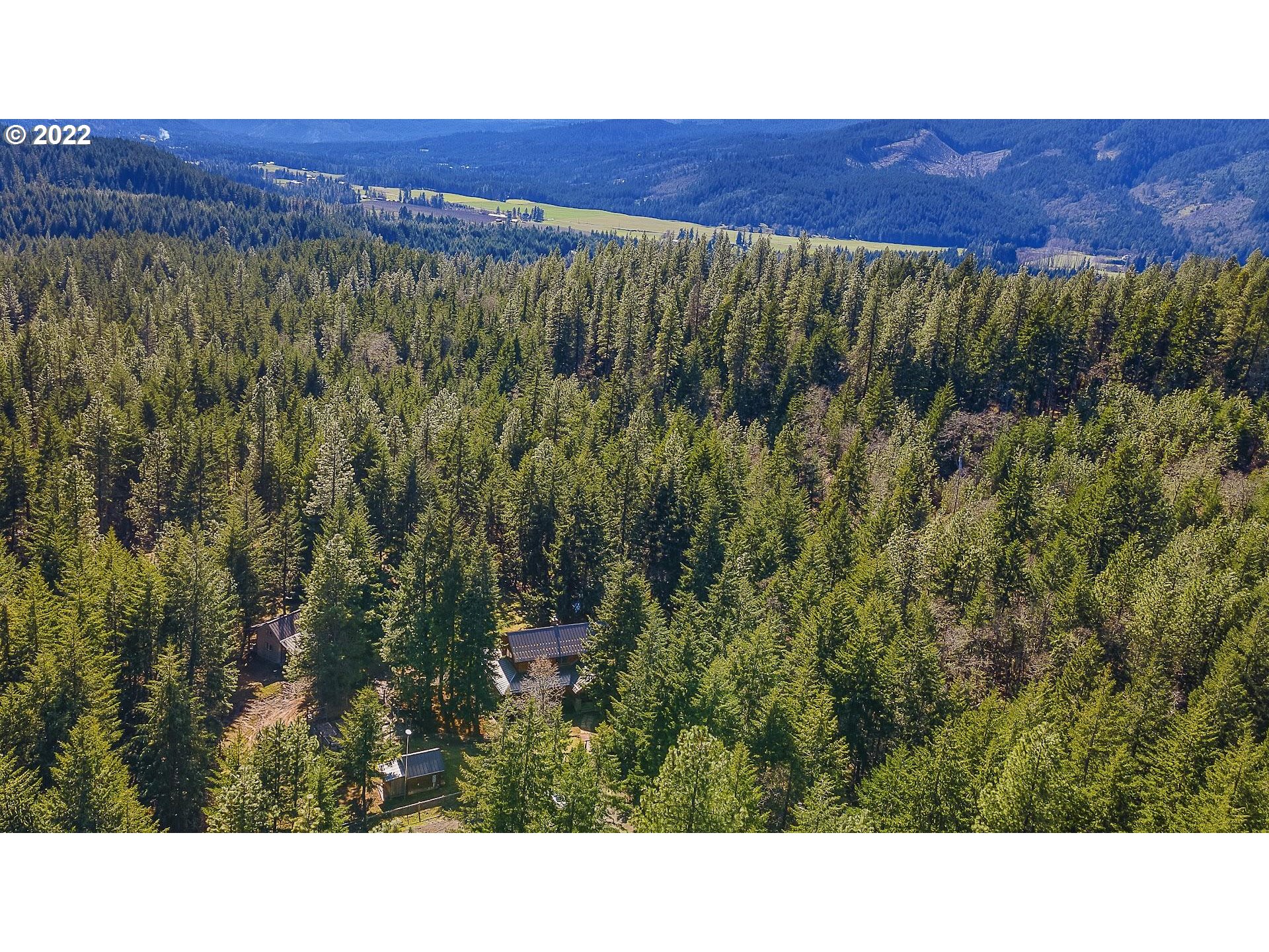 181 Lyons Road White Salmon, WA 98672 - Photo 31 of 32 a black and white photo of a field