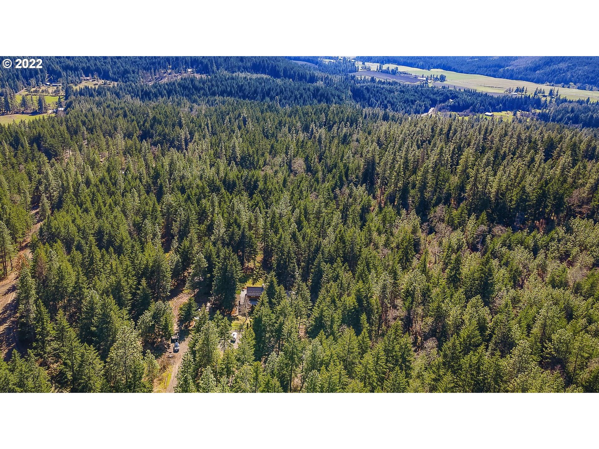 181 Lyons Road White Salmon, WA 98672 - Photo 32 of 32 a black and white photo of a forest