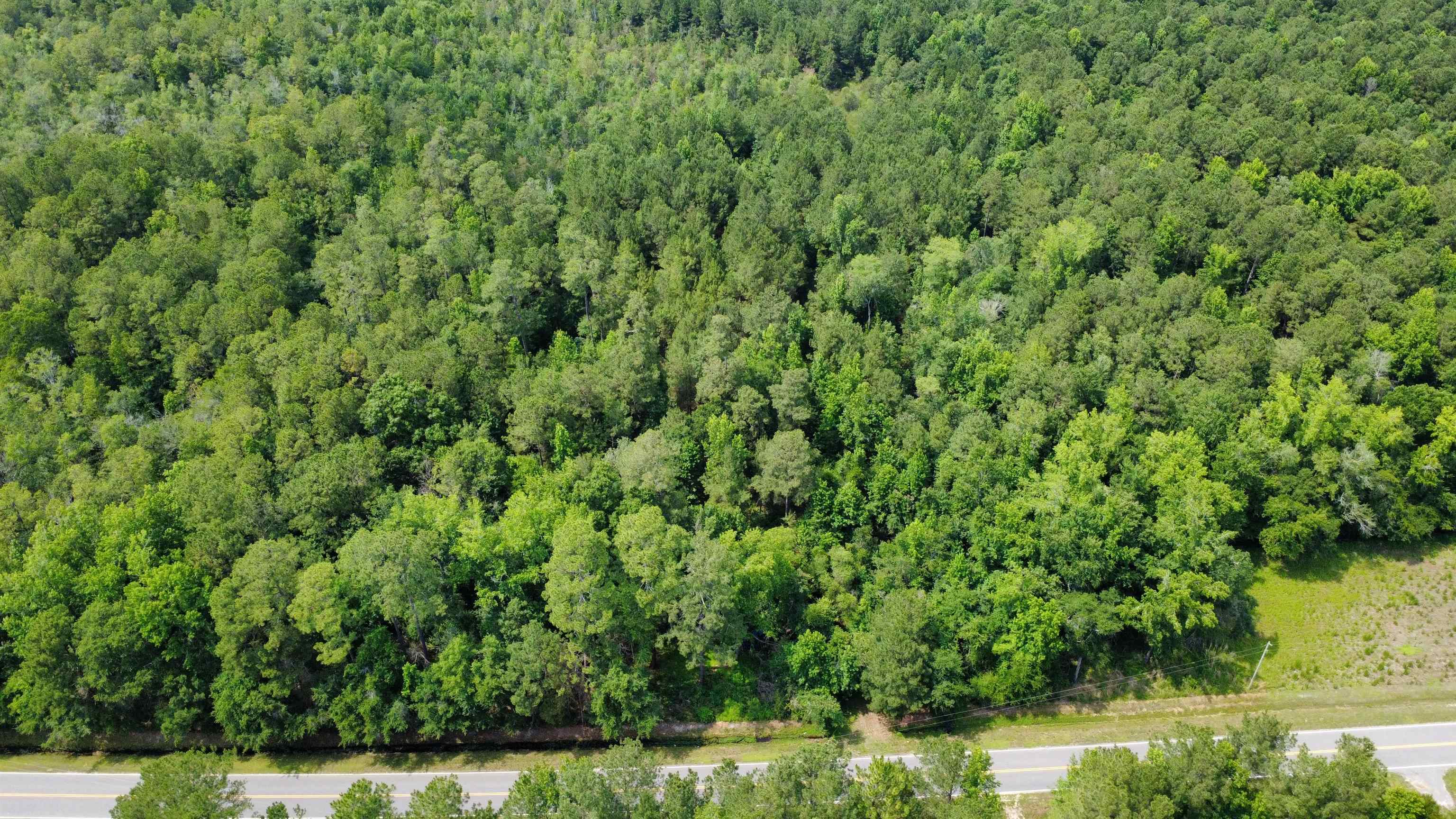 1 Long Branch Swamp Road Green Sea, SC 29545 - Photo 3 of 3